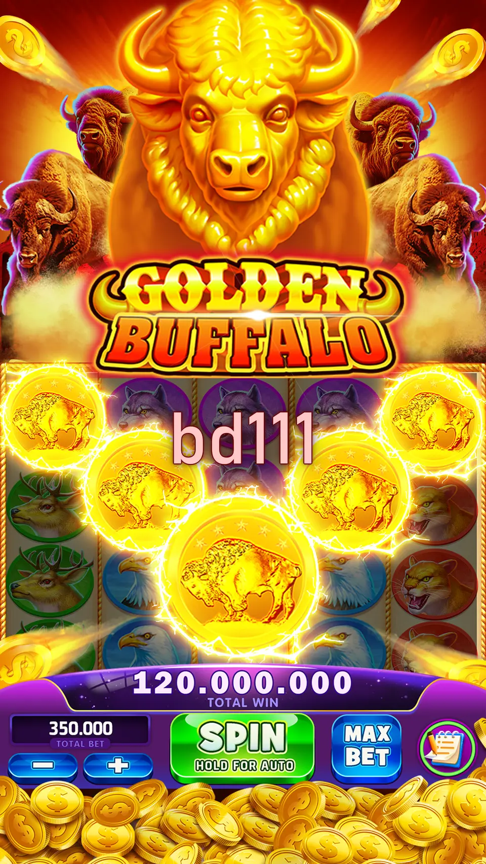 bd111 লগইন